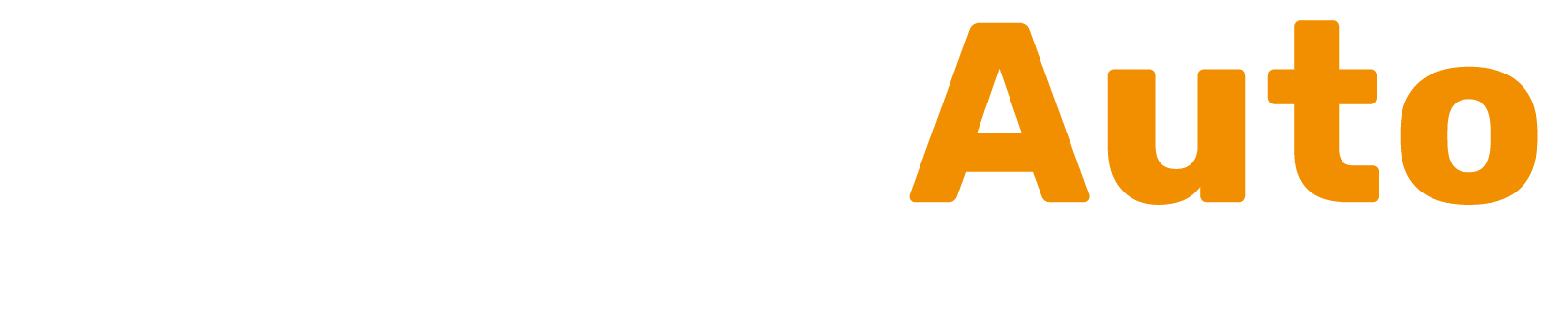 Xenum Україна Logo DANAUTO